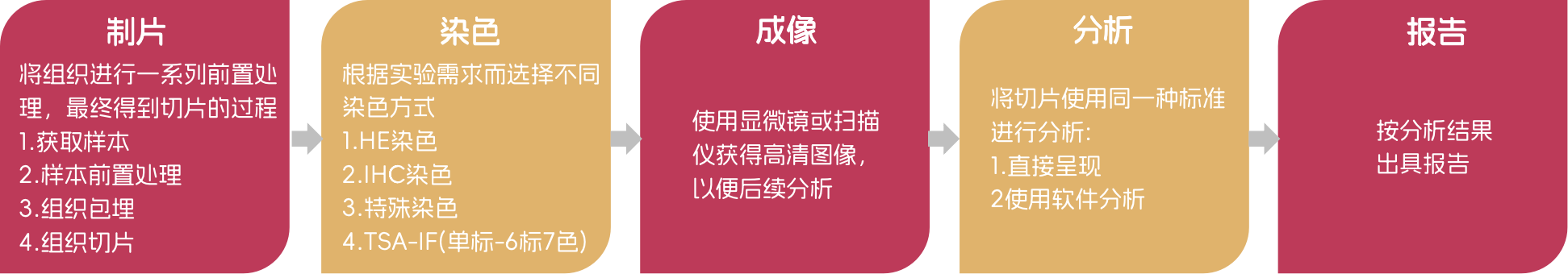 免疫組化-內(nèi)圖.png